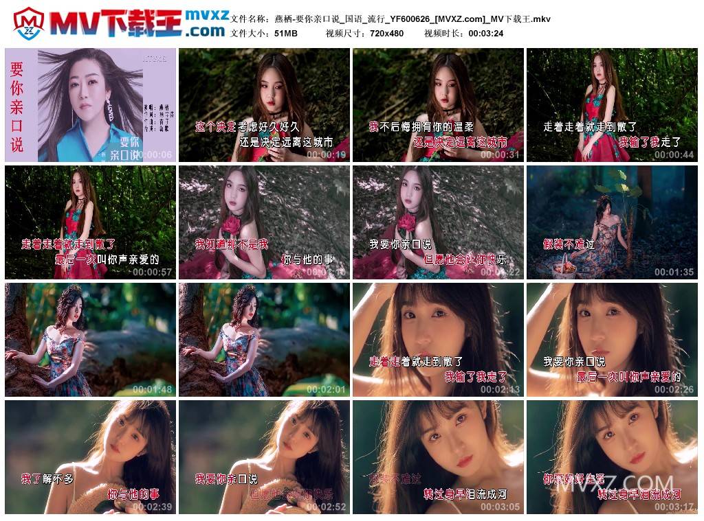 燕栖-要你亲口说_国语_流行_YF600626
